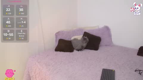    t  online show from 03-27-26, 02:17