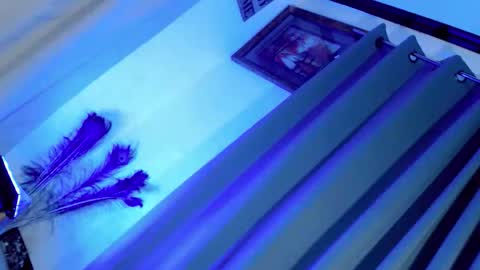 majesticcock_kyla online show from 11-27-25, 03:03