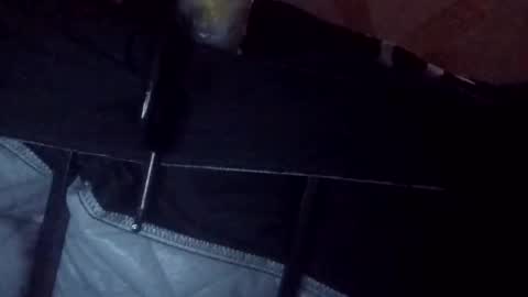 makeunumb88 online show from 03-20-26, 06:51