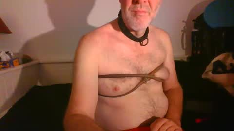 CommandbondageNipples bondage kink submissive lovense slave wgear. modequiethvyBondage If Password goldfish online show from 02-16-25, 08:21