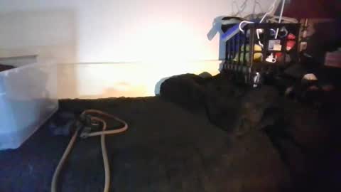 CommandbondageNipples bondage kink submissive lovense slave wgear. modequiethvyBondage If Password goldfish online show from 01-18-26, 08:18