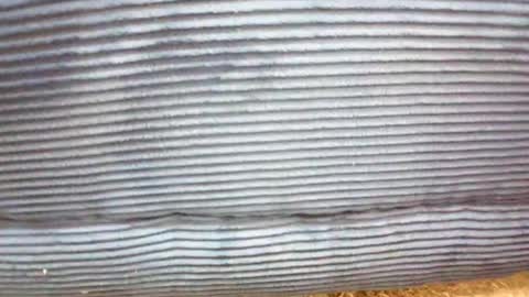 maleshpreet online show from 03-07-26, 09:06