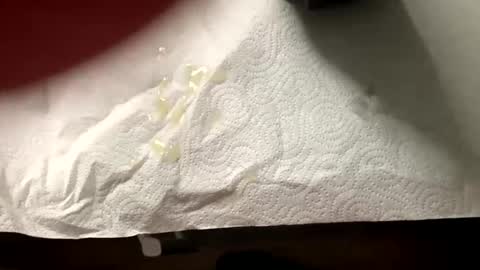 Snapshot of man4you888 chatting on 02-20-25, 03:08 man4you888 online show from 02-20-25, 03:08