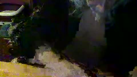 mangochurro online show from 04-30-26, 07:20