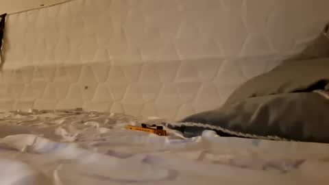 Jan and Man online show from 03-17-26, 03:33