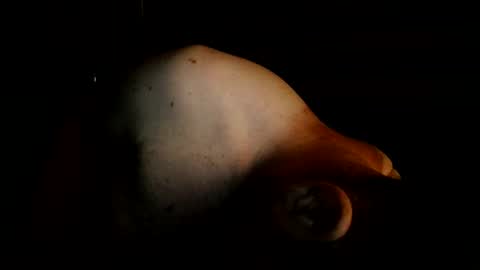 guywittitsndick online show from 08-02-26, 08:35