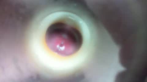 Marc online show from 02-23-26, 01:58