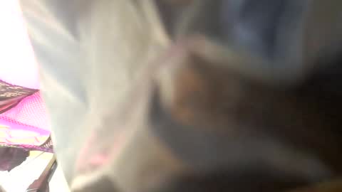 Maria Magdalena online show from 10-04-25, 08:45