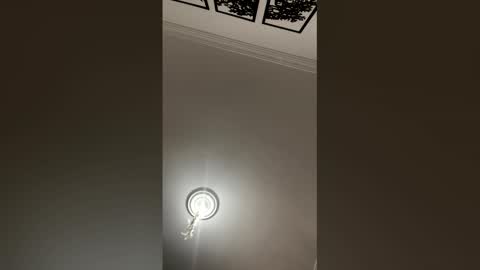 Mar y online show from 02-25-26, 02:27