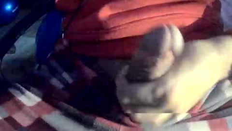 Snapshot of marickian chatting on 01-19-26, 07:34 Shadow online show from 01-19-26, 07:34