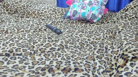 Snapshot of marie_marie03 chatting on 01-23-25, 01:56 Marie   online show from 01-23-25, 01:56