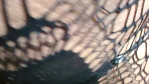 marielahorny303av online show from 12-21-25, 02:24