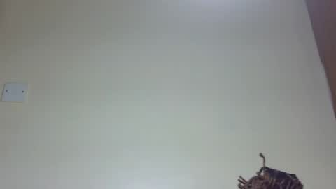 Marie online show from 06-26-26, 08:02