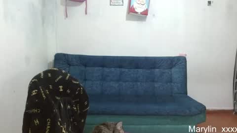  Marilyn  online show from 06-18-26, 12:33