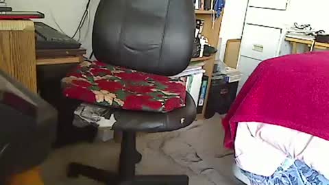 MarioDavidAndybros online show from 01-01-25, 07:43