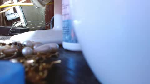 LEAH online show from 03-09-25, 04:05