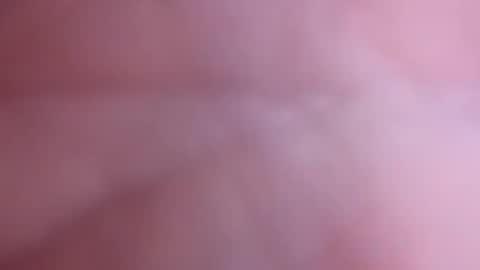 Snapshot of mark2711568331 chatting on 11-04-25, 03:33 mark2711568331 online show from 11-04-25, 03:33