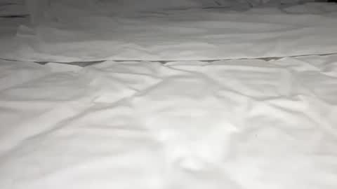 mark_nips02 online show from 02-23-26, 11:35