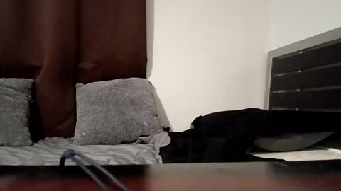 Snapshot of markbwcusmc chatting on 01-15-26, 02:10 markbwcusmc online show from 01-15-26, 02:10