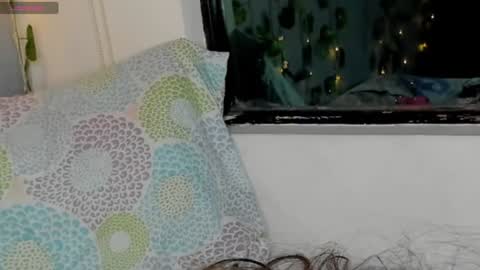 marly online show from 01-17-25, 05:53