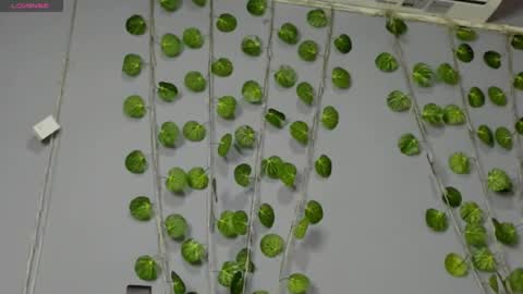 marly online show from 02-28-25, 02:42