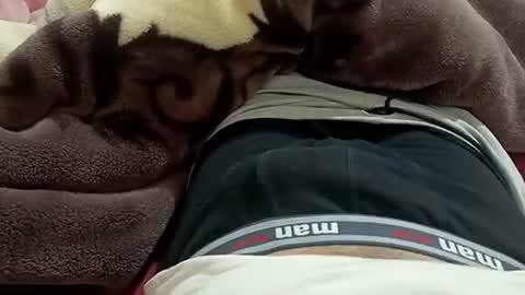 marocreda33 online show from 01-30-25, 08:53