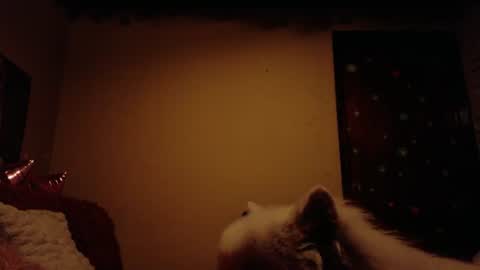 Snapshot of maryberry__ chatting on 06-28-26, 07:47 online show from 06-28-26, 07:47