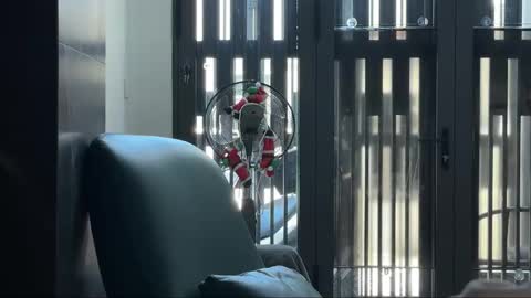 Snapshot of marygi chatting on 03-27-26, 05:24 Telegram - FlyingDutchmana online show from 03-27-26, 05:24