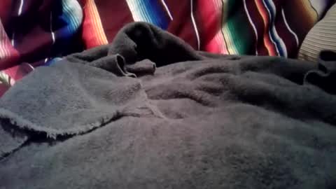 mastrdebator online show from 12-01-25, 03:33