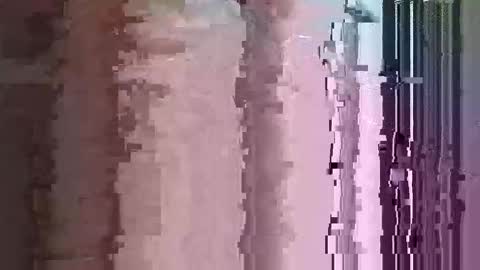 maththebear96 online show from 04-13-26, 03:01