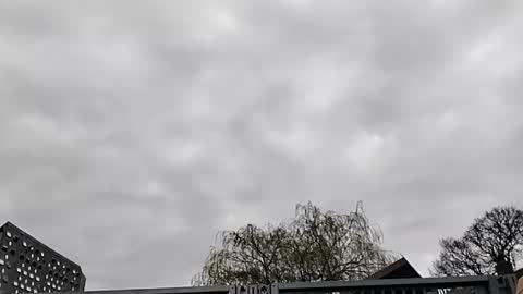 Mattythelog online show from 03-19-26, 09:35