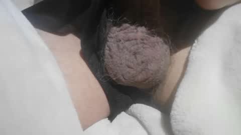 Snapshot of mattty13 chatting on 05-15-26, 06:04 Hairy Bud online show from 05-15-26, 06:04