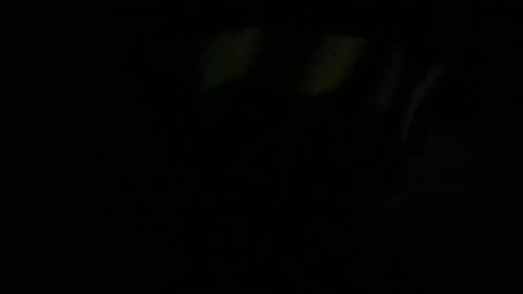 Lira online show from 01-13-26, 11:04