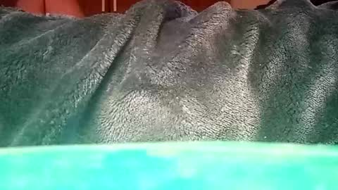 Snapshot of mauriciano2018 chatting on 01-12-25, 01:37 Ignacio online show from 01-12-25, 01:37