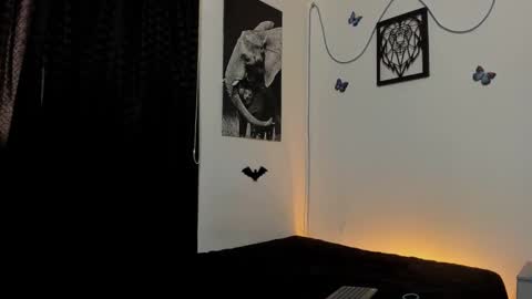 Alex online show from 01-31-25, 06:57