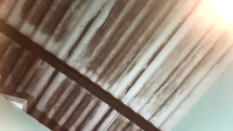 Maximo Aron Vega online show from 01-25-25, 04:02