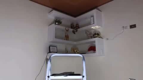 Sebastian online show from 12-25-24, 04:22