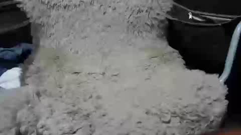 Max online show from 01-07-25, 02:19