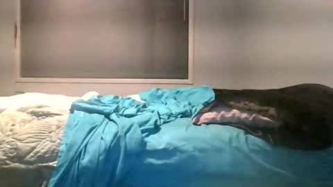 Snapshot of maximus_oreally chatting on 06-04-26, 02:28 Max online show from 06-04-26, 02:28