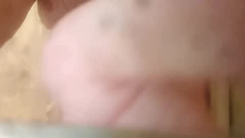 Snapshot of maxmelon2800 chatting on 10-12-25, 11:04 maxmelon2800 online show from 10-12-25, 11:04