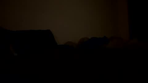 Snapshot of mb99667788 chatting on 02-24-26, 03:15 mb99667788 online show from 02-24-26, 03:15