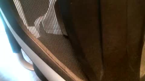 mcbuster11 online show from 06-09-26, 12:50