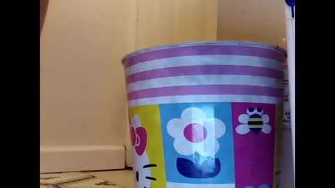 meaderd740870 online show from 01-23-25, 04:19