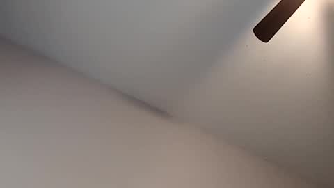 Jizzy online show from 02-13-26, 03:30