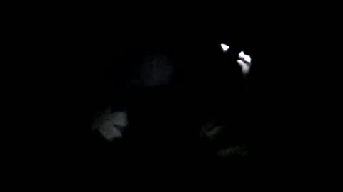 Oltereodora-lima online show from 02-06-25, 07:07