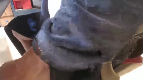 mee9090e900 online show from 09-19-25, 11:11