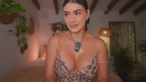 Snapshot of meegan1 chatting on 11-15-25, 12:13 Andrea online show from 11-15-25, 12:13