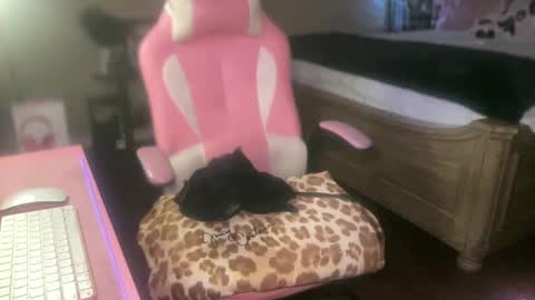 Snapshot of meetsouthernpeach chatting on 09-27-25, 04:17 Southern Peach online show from 09-27-25, 04:17