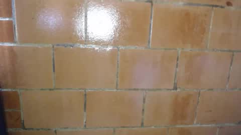 Megan and sophi online show from 04-09-26, 08:25