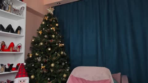 Megan online show from 12-23-24, 06:55